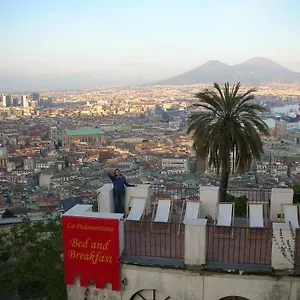 Pedamentina Naples